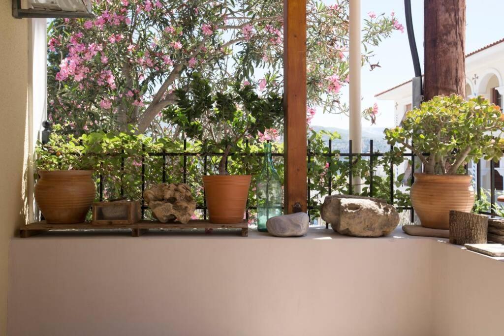 Willa Kostas' House Argostoli Zewnętrze zdjęcie